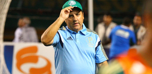palmeiras