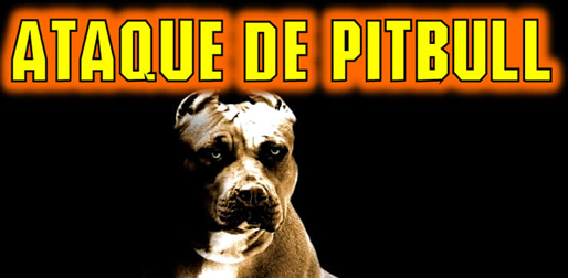 pitbull