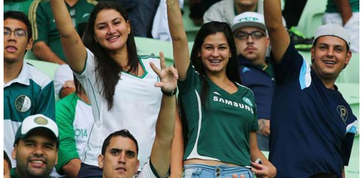palmeiras