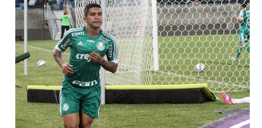 palmeiras