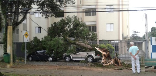 Chuva Alaga Ruas, Derruba árvores E Deixa Bairros Sem Energia Em S ...