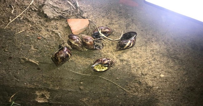 03d898317a91663adb31033eabfe933a0087e4ea8c396304d608740dd9ef-iloveimg-resized