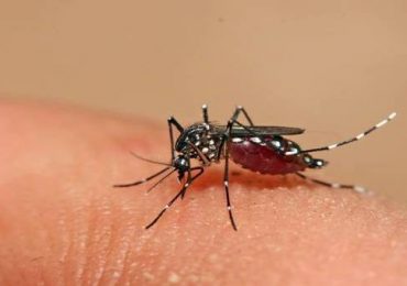 142688039051-iloveimg-resized