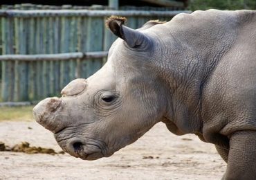 DYtYZUsVMAEiM97-iloveimg-resized