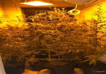 baep-28.03-2-iloveimg-resized