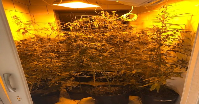 baep-28.03-2-iloveimg-resized