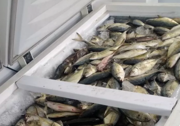 21150413_1465335856875835_2226853707321457108_n