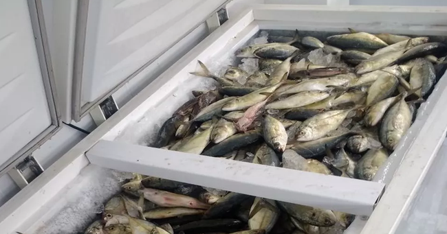 21150413_1465335856875835_2226853707321457108_n