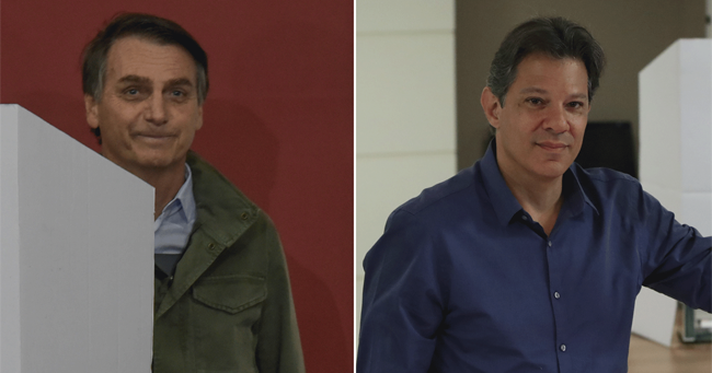 bolsonaro x haddad