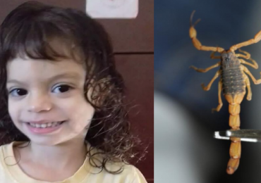 morte por escorpião