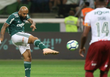 palmeiras