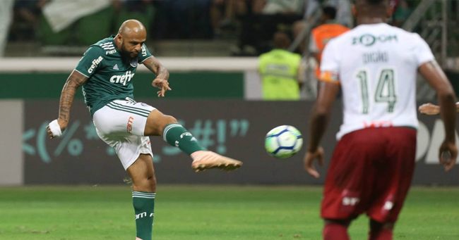 palmeiras