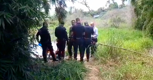 1 - 2020-01-29T085233.012