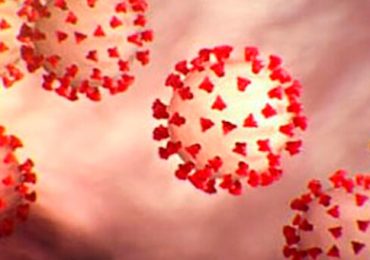 1 - 2020-02-28T062312.566