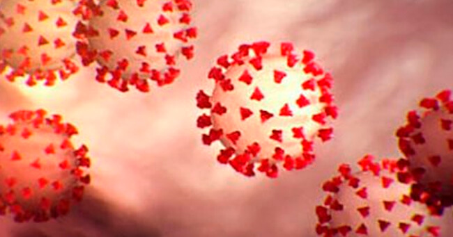 1 - 2020-02-28T062312.566