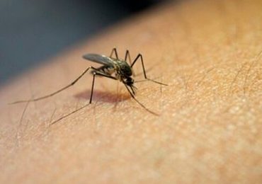 1 - 2020-03-06T070416.189