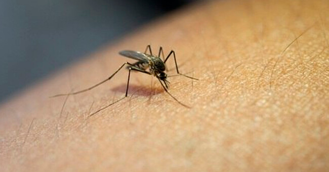 1 - 2020-03-06T070416.189