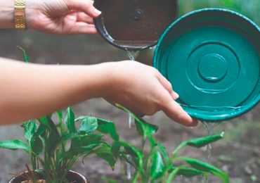 1 - 2020-03-10T062055.895