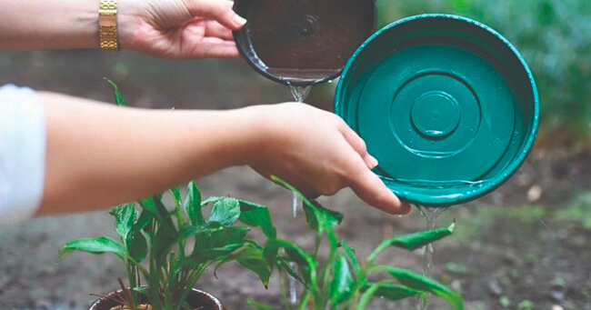 1 - 2020-03-10T062055.895