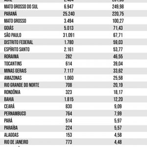 dengue-brasil-04032020171051954