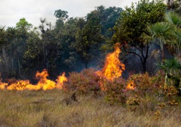 site1-Recuperado (7)