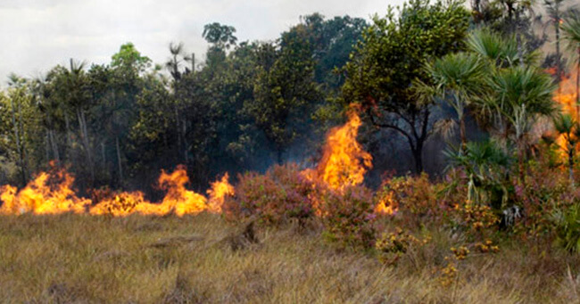 site1-Recuperado (7)