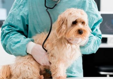 1 - 2020-08-26T061613.496