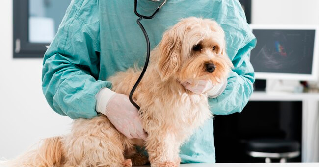 1 - 2020-08-26T061613.496