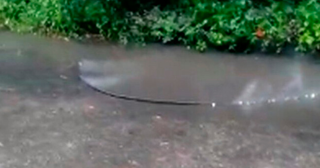 71692398_2546268228766277_6006710650506575872_n