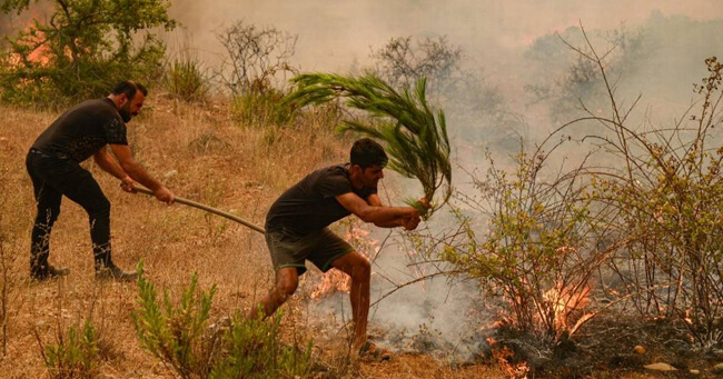 001 - 2021-07-30T114027.283