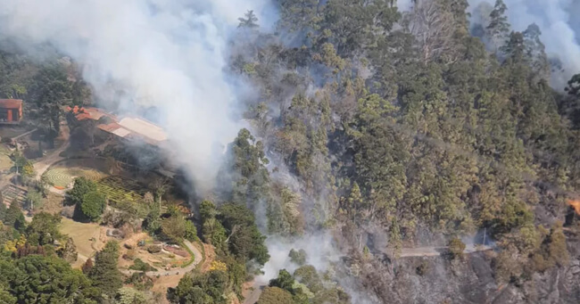 001 - 2021-08-24T073646.339