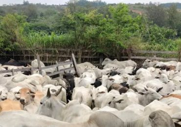 02 - 2021-11-29T082942.489