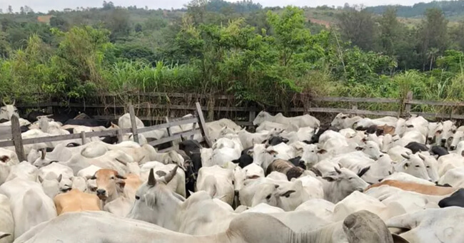 02 - 2021-11-29T082942.489