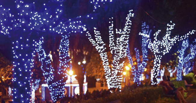 02 - 2021-12-08T084953.230