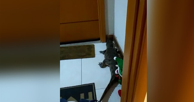 02 - 2021-12-31T083804.859