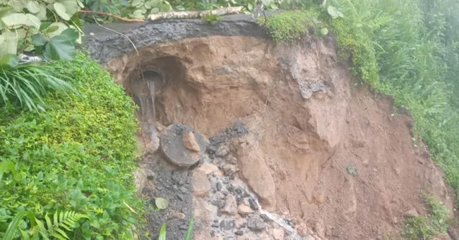 02 - 2022-01-10T081101.492