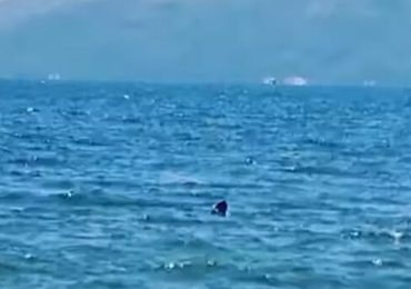 02 - 2022-01-20T072228.869