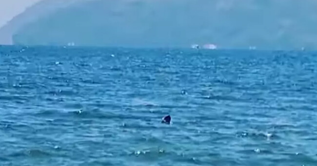 02 - 2022-01-20T072228.869