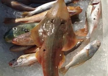 01 - 2022-02-22T082504.786