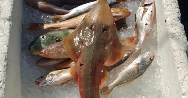 01 - 2022-02-22T082504.786