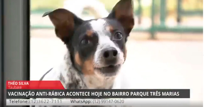 01 - 2022-03-24T113808.785