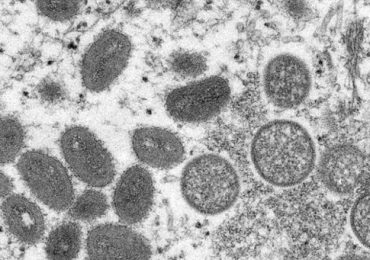 01 - 2022-05-09T140857.651