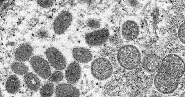 01 - 2022-05-09T140857.651