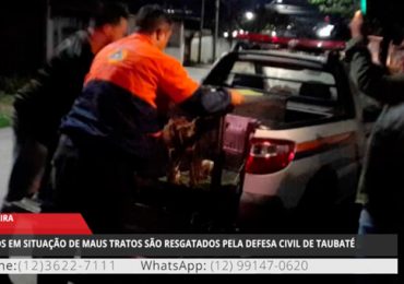 01 - 2022-05-17T125110.237