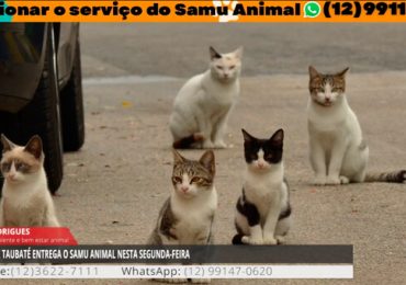 01 - 2022-06-27T152410.048