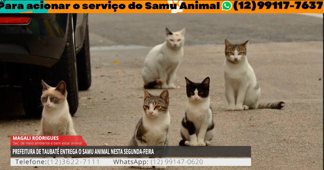 01 - 2022-06-27T152410.048