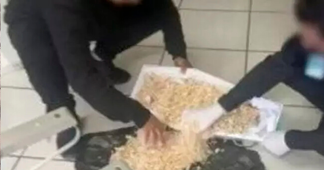 01 - 2022-08-02T085424.219