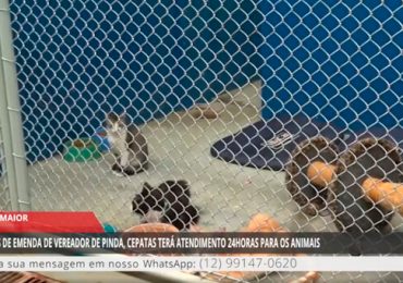 01 - 2022-11-18T100747.091