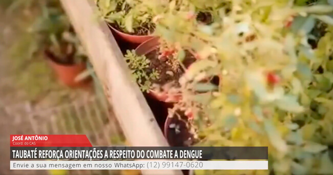 01 - 2023-01-31T083942.003