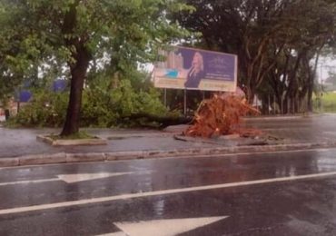 01 - 2023-03-06T084910.389